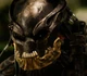 Mr Black PHG profile
