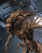 La Matriarca que se encontraba prisionera en BG-386