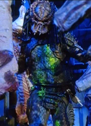 Depredador2 CityHunter 11