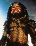 0867a7654c4e3262980ff8efa1feb1b4.jpg (45 kB)