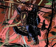 Light-Stepper usando su combistick