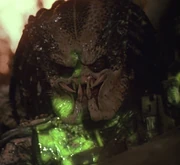 Blood of the Jungle Hunter