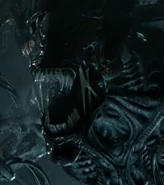 La Reina Alien de la Antártida.