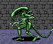 Un Soldier en Alien vs. Predator (Elite)