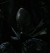 Un Cráneo de Ingeniero en la Trophy Room a bordo de la Bull's Scout Ship