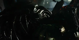 Bull Predator AVP
