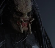 Scar sin su Biocasco