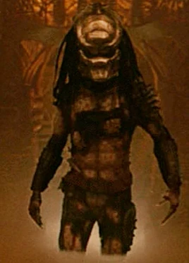 Boar Predator 