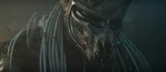 Predator Badlands T3 Still 28.jpg (357 kB)