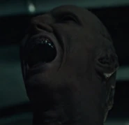 Rugiendo de manera escalofriante