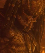 CityUnmasked.png (1,44 MB) City Hunter