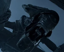 La Reina Alien de la Antártida en  