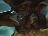 Trilobite