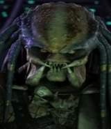 Elder Predator (Dark Blade Clan)