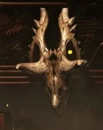 Cráneo de un Ceratópsido