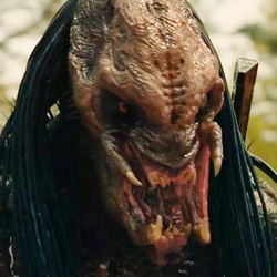 Depredador predator outlet