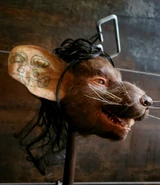 Model head of Akkikuyu by Robin Jarvis