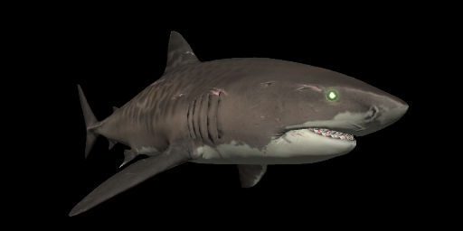 Most Realistic Sharks In Video Games