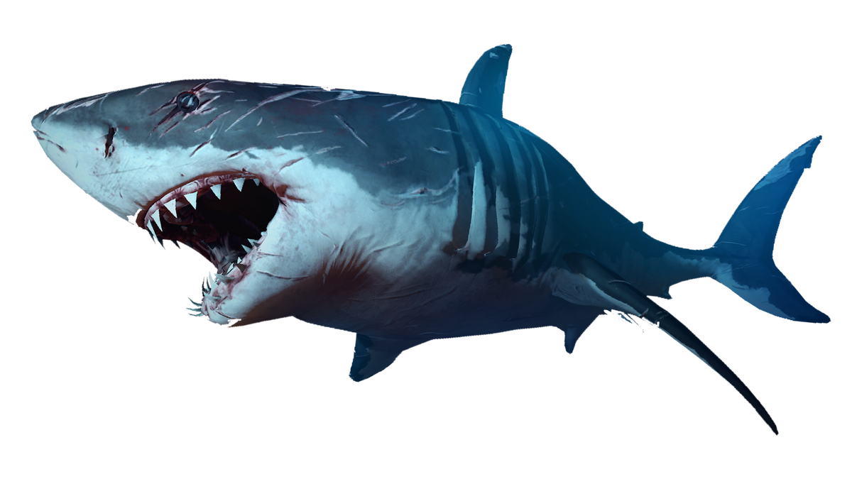 The Shark | Depth Wiki | Fandom