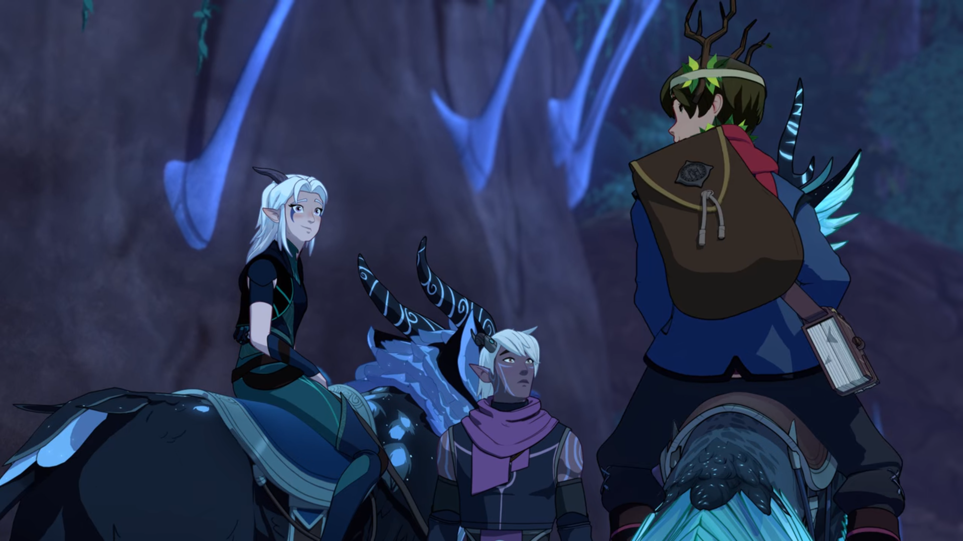 KategorieBilder von Rayla Der Prinz der Drachen Wiki Fandom