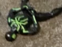 Green Spider-Man (Lost Universe) | DERF PRODUCTIONS Wiki | Fandom