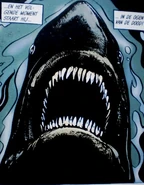 De haai in Het Geheime Wapen