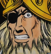 Odin in De Berserkers