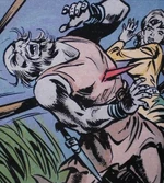 Johan x Hoak handlanger