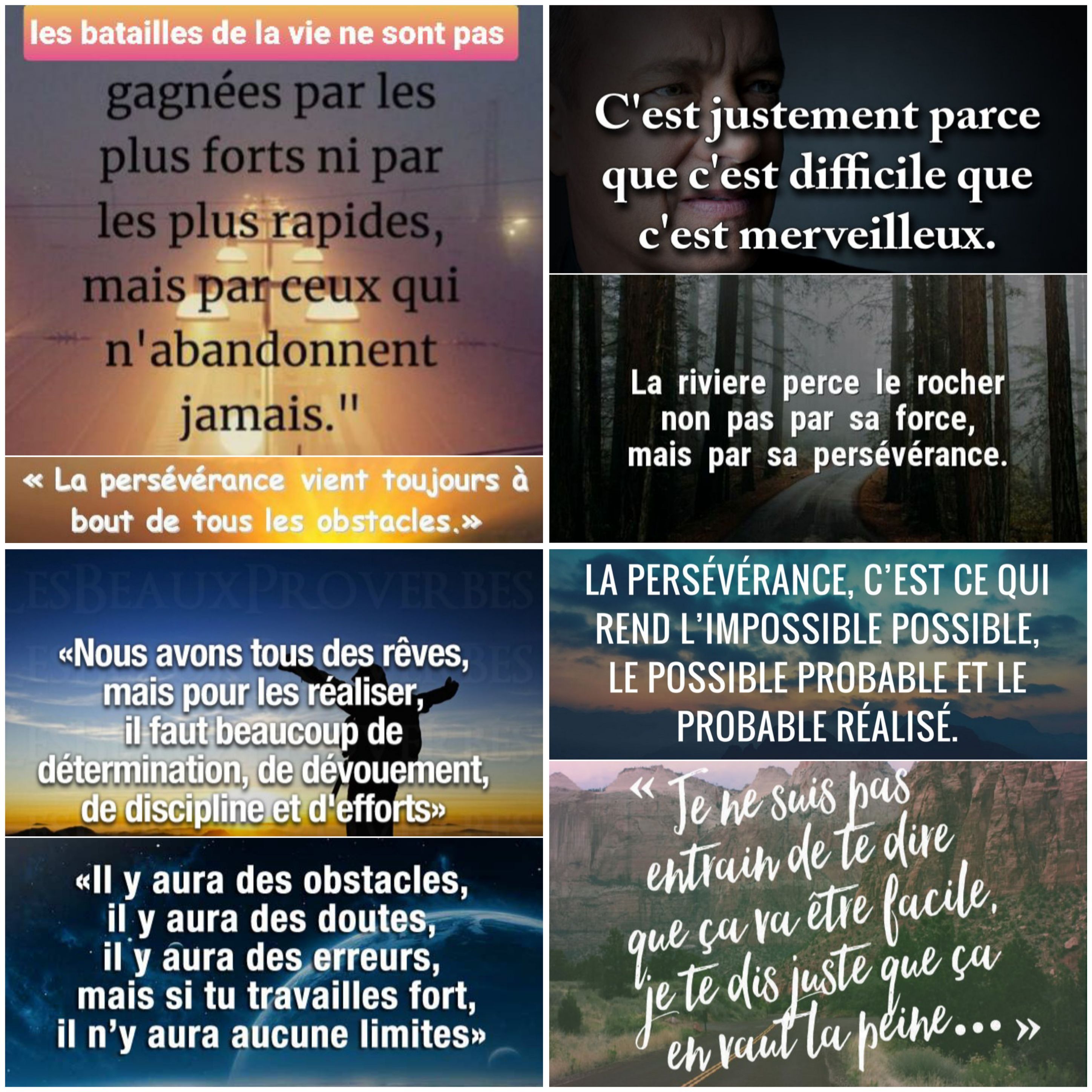 Citations Wiki Des Amis Libres Fandom Citations Wiki Des Amis Libres Fandom