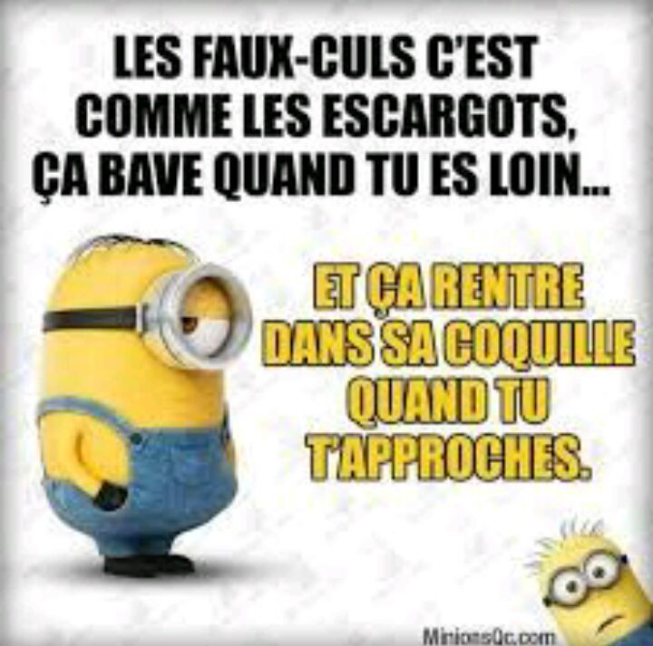 Blagues Wiki Des Amis Libres Fandom