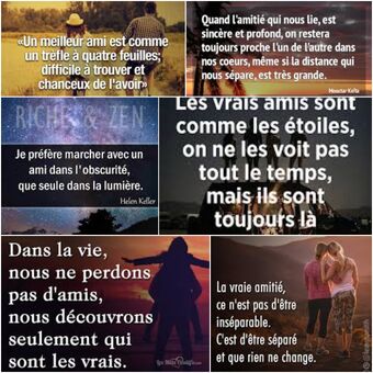 Citations Wiki Des Amis Libres Fandom Citations Wiki Des Amis Libres Fandom