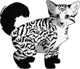 Petit Silex