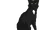 Étoile Claire