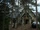 Patrick Lloyd's Cabin