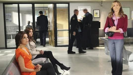 Desperate Housewives 8x09