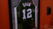 Shaw shirt