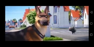 Screenshot 20231012-113326.png (423 KB) German Shepherd Breaks the Fourth Wall