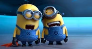 Despicable-me-2-laughing-minions.jpg (29 KB) Ahahahaha...