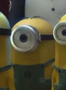 William in Despicable Me