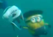 Jay in water.png (125 KB)