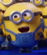 Pudgy in Papa Mama Loca Pipa