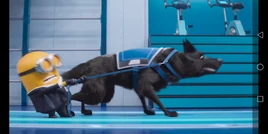 Screenshot 20250407-214639