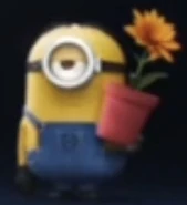 Stuart in the opening logo