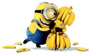 Bananas!!!
