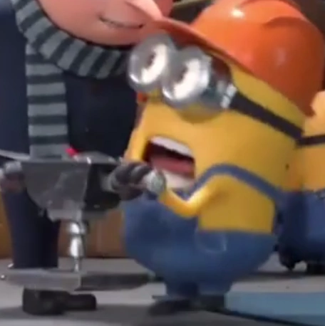 Ryan, Despicable Me Wiki