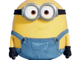 Otto
