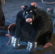 Бронированная-крыса.png (571 КБ) Крыс