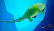 The evolved prehistoric sea creature in the beginning credits.
