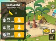 Banana Grove, the place to make bananas