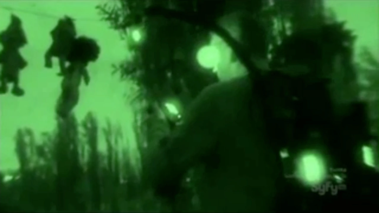 Island Of The Dolls At Night